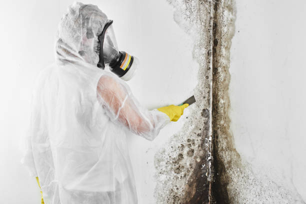 Best Crawl Space Mold Removal  in Edmonton, KY