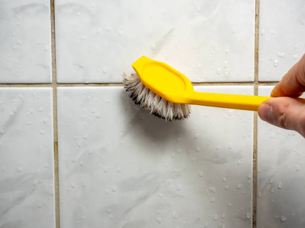 Best Black Mold Removal  in Edmonton, KY